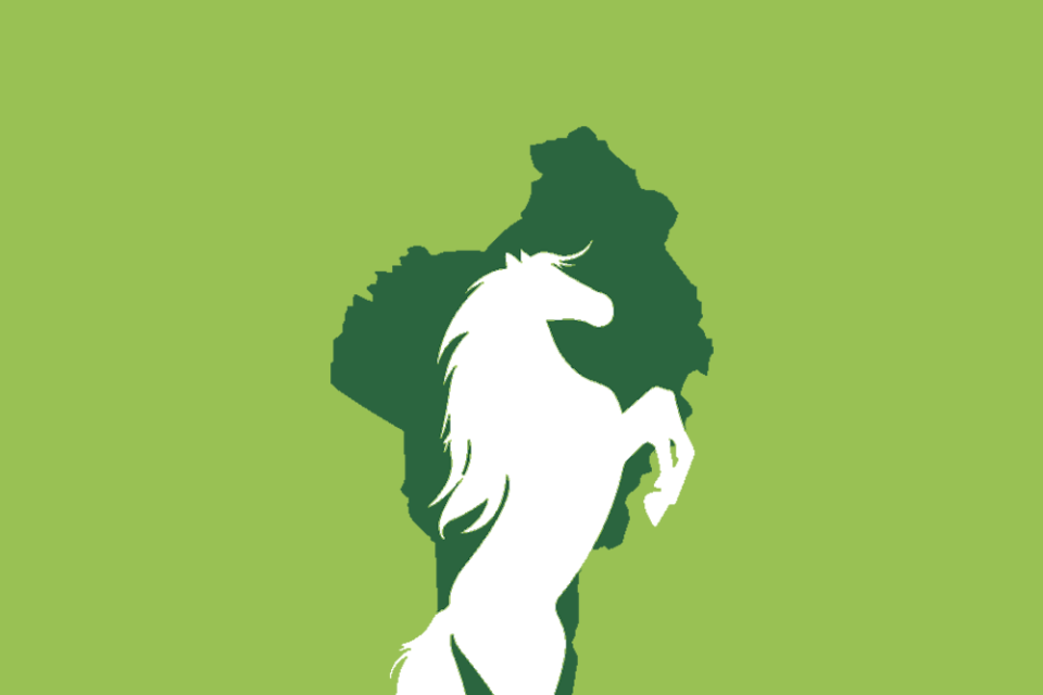 Liste BR pour les élections législatives du dimanche onze janvier 2026