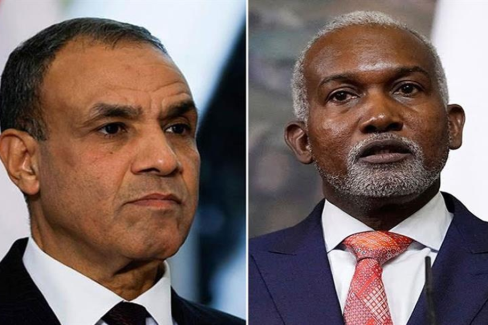 L'Égypte et le Nigéria renforcent leur coordination sur sécurité et développement