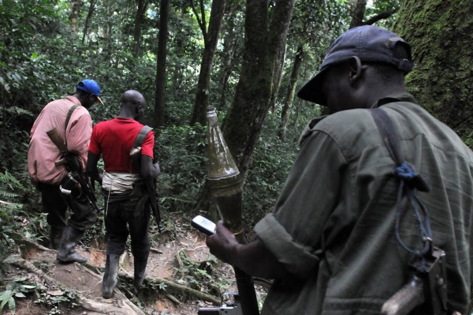 Le désarmement des FDLR confronté à de lourds obstacles dans l’Est